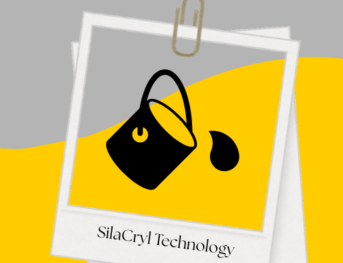 LE SECRET DE LA PEINTURE FACADE LA PLUS VENDUE EN EUROPE !!